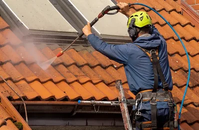 Démoussage et hydrofuge de toiture à Arpheuilles